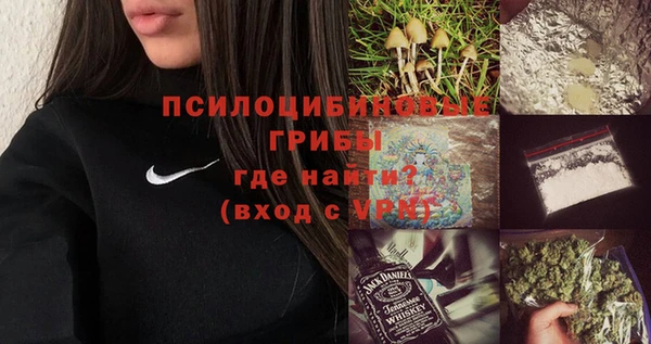 PSILOCYBIN Волоколамск