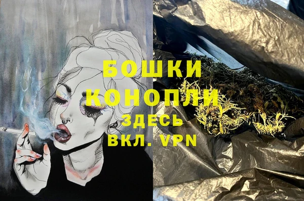 PSILOCYBIN Волоколамск