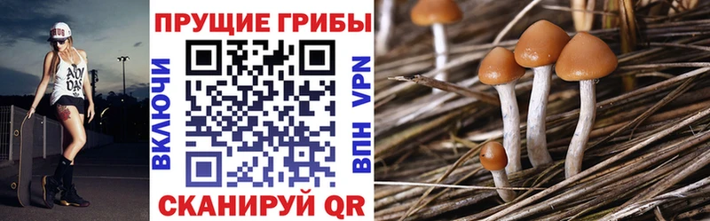 Псилоцибиновые грибы GOLDEN TEACHER  кракен   площадка наркотические препараты  Карабаново 
