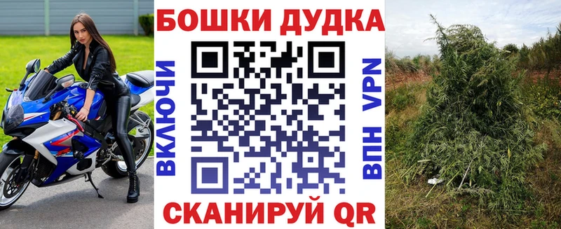 Шишки марихуана OG Kush  Карабаново 